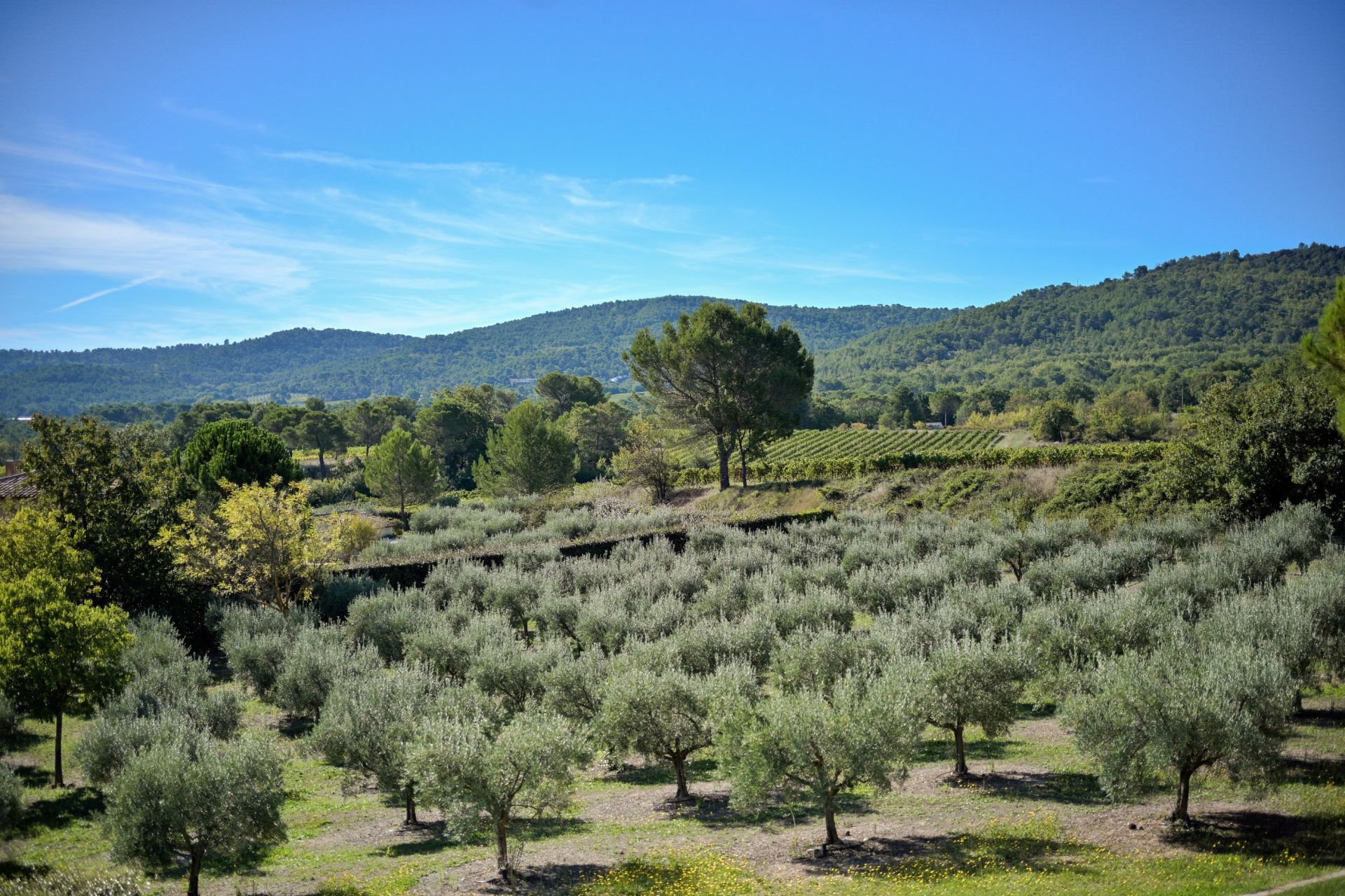 bastide 9 Pièces en location saisonnière sur LE PUY STE REPARADE (13610)