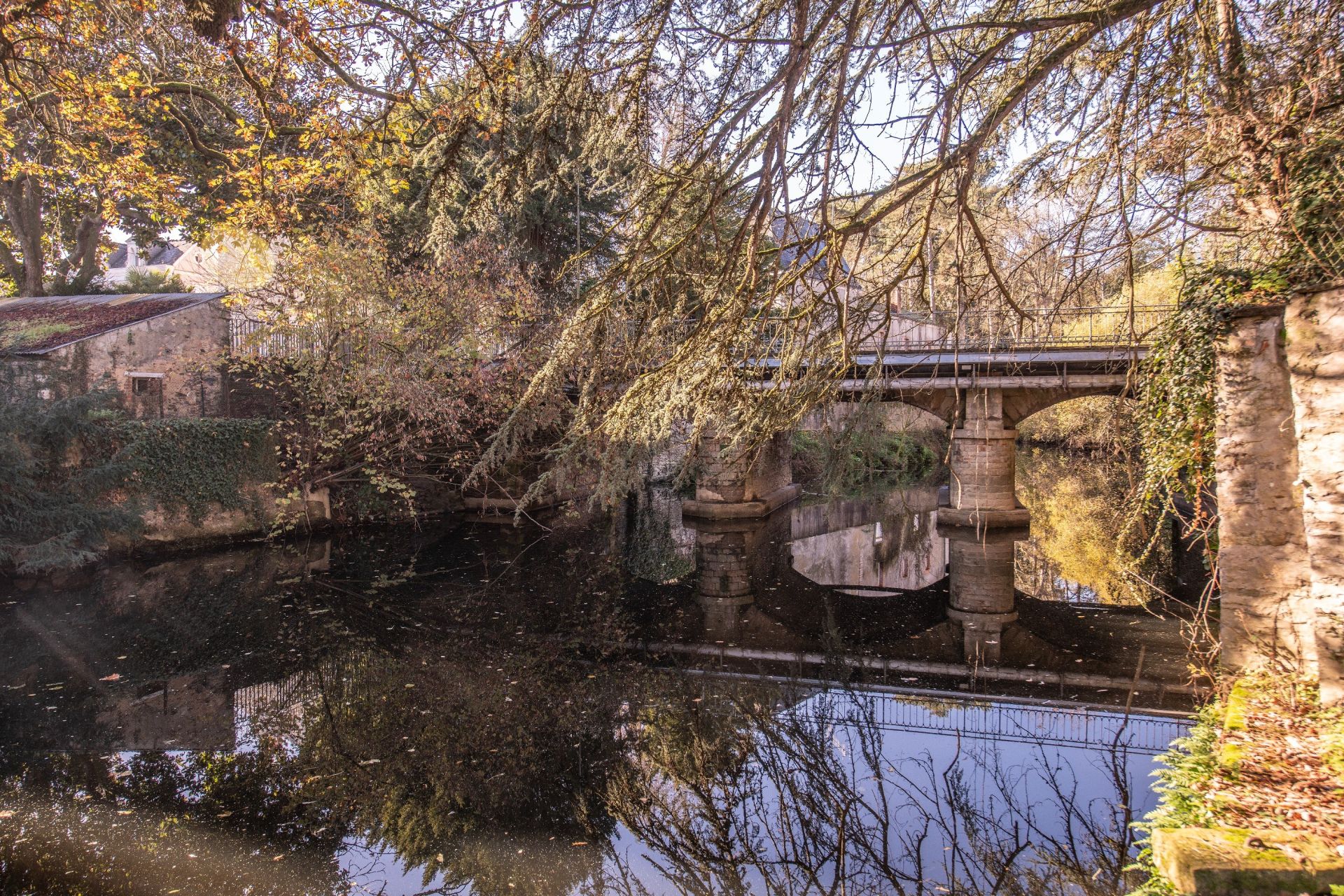 luxury house 13 Rooms for sale on SEGRE EN ANJOU BLEU (49500)