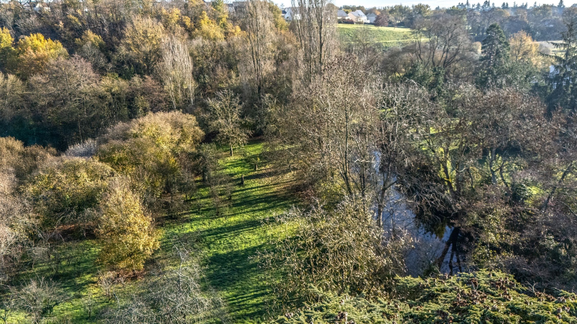 maison de luxe 13 Pièces en vente sur SEGRE EN ANJOU BLEU (49500)