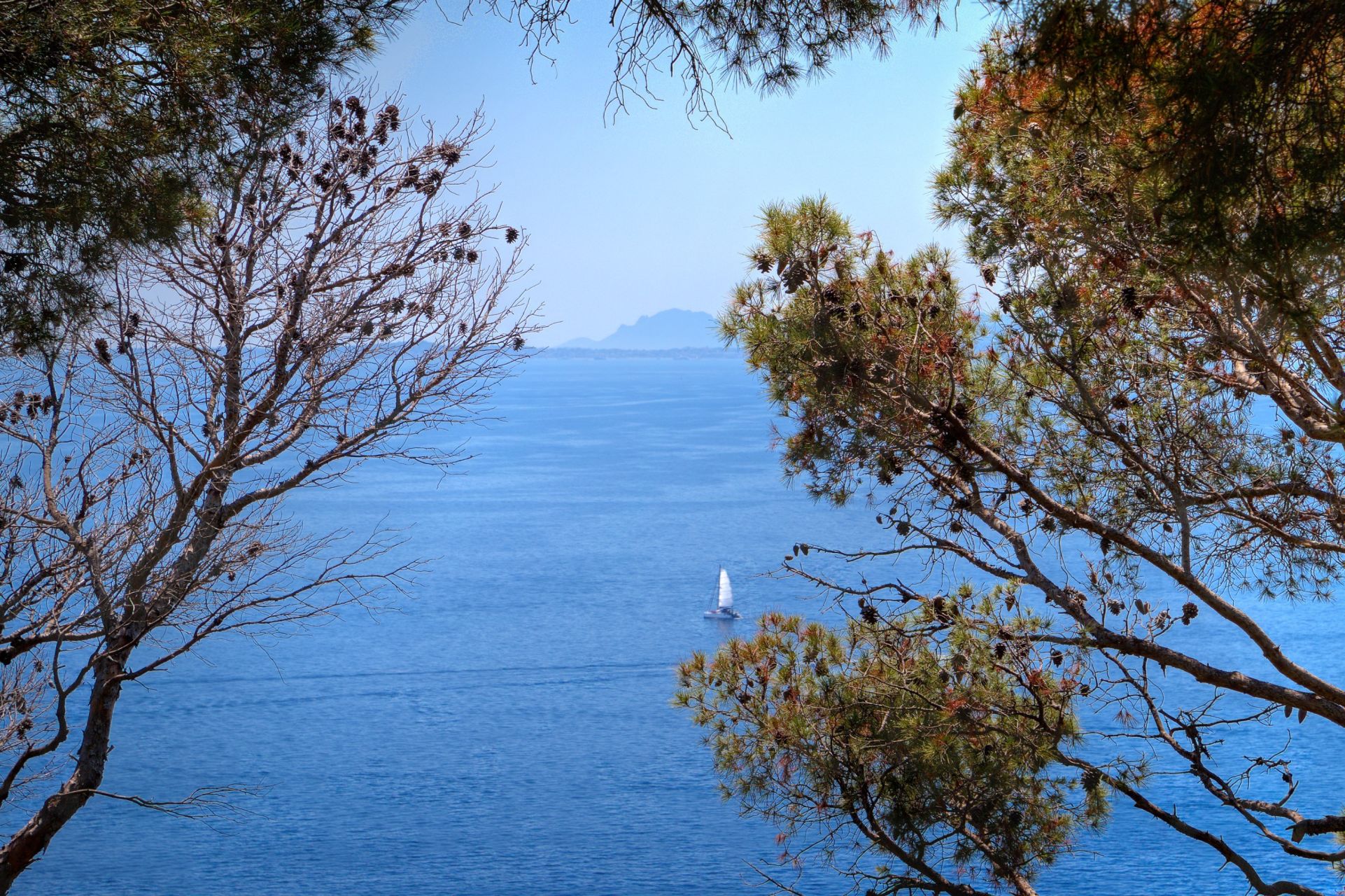 luxury provencale house 9 Rooms for sale on ST JEAN CAP FERRAT (06230)