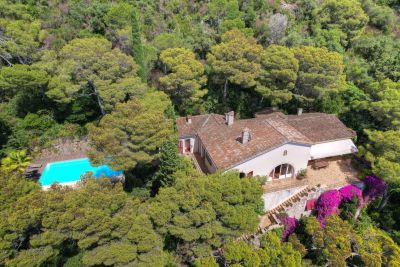 Vente Maison provençale de luxe Saint-Jean-Cap-Ferrat 9 Pièces 295 m²