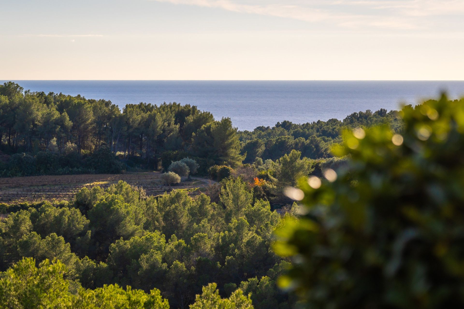 maison de luxe 5 Pièces en vente sur ST CYR SUR MER (83270)