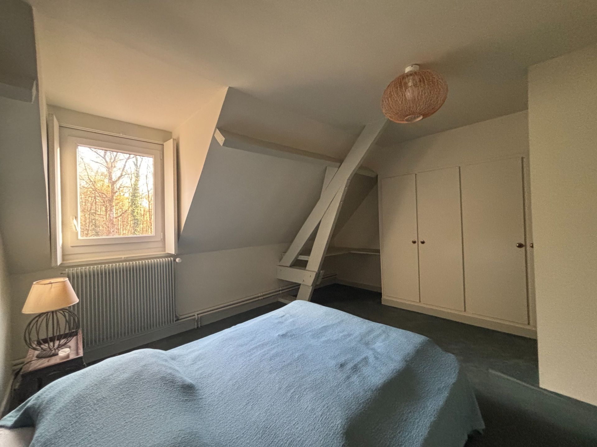 maison de luxe 8 Pièces en vente sur YVOY LE MARRON (41600)