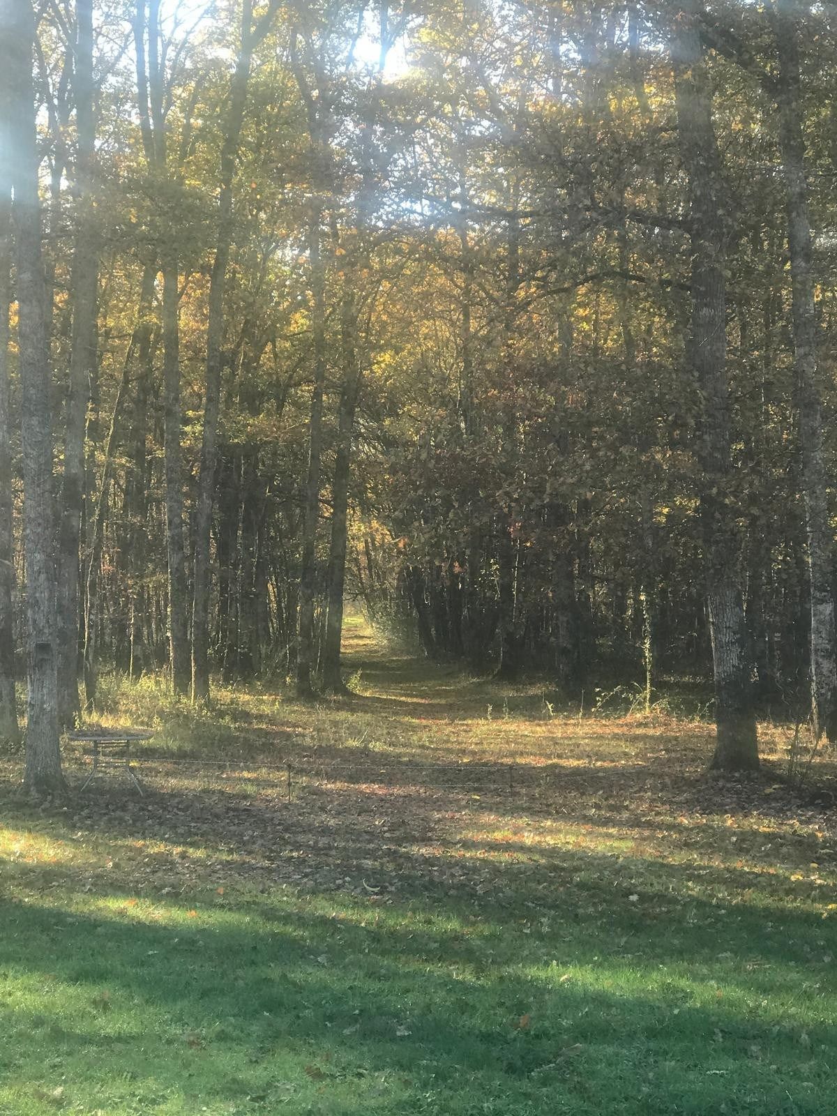 maison de luxe 8 Pièces en vente sur YVOY LE MARRON (41600)