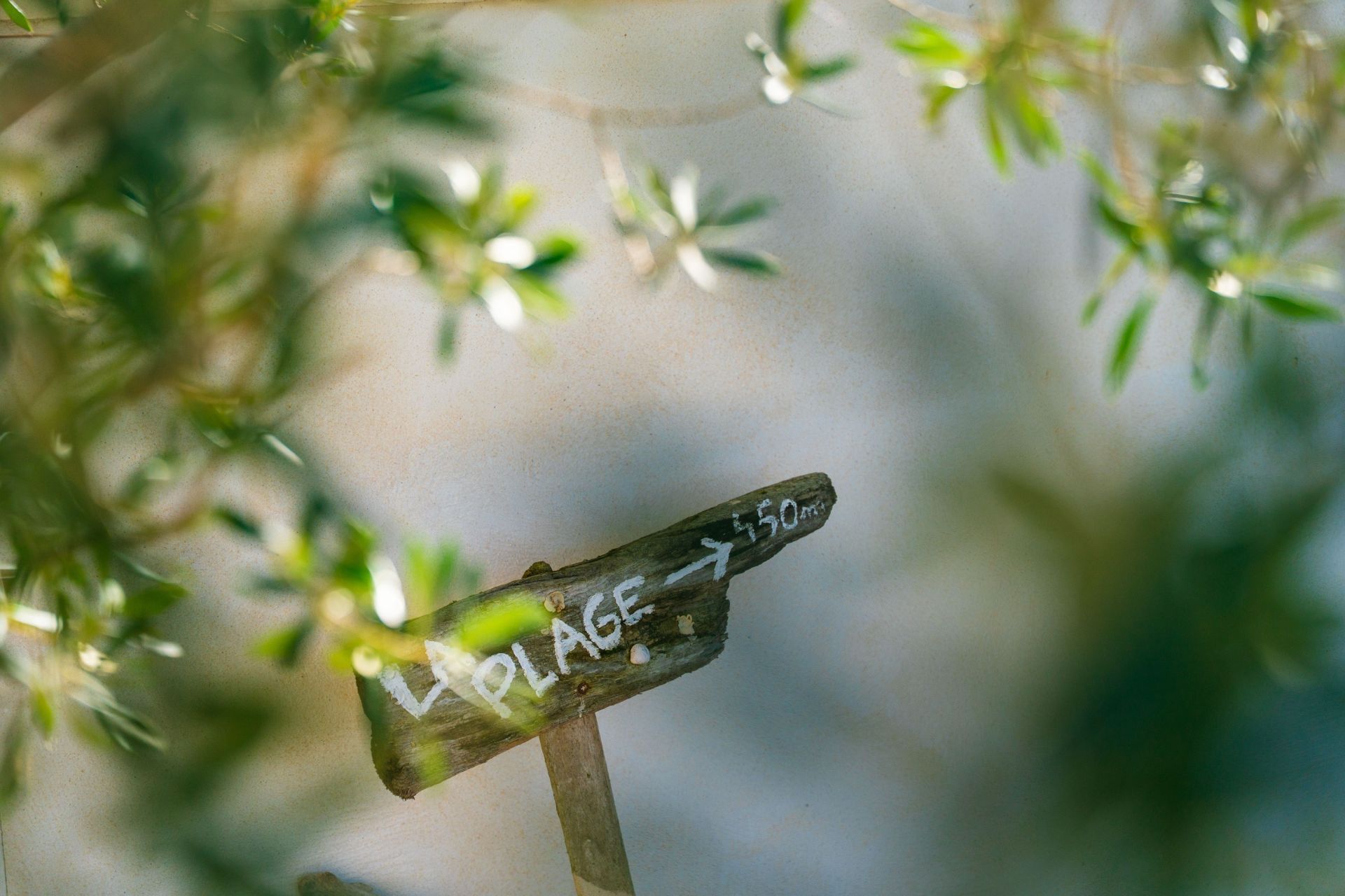 luxury house 6 Rooms for sale on ROYAN (17200)