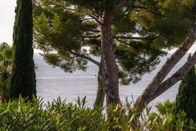 Vente Maison de luxe Carry-le-Rouet 7 Pièces 207 m²