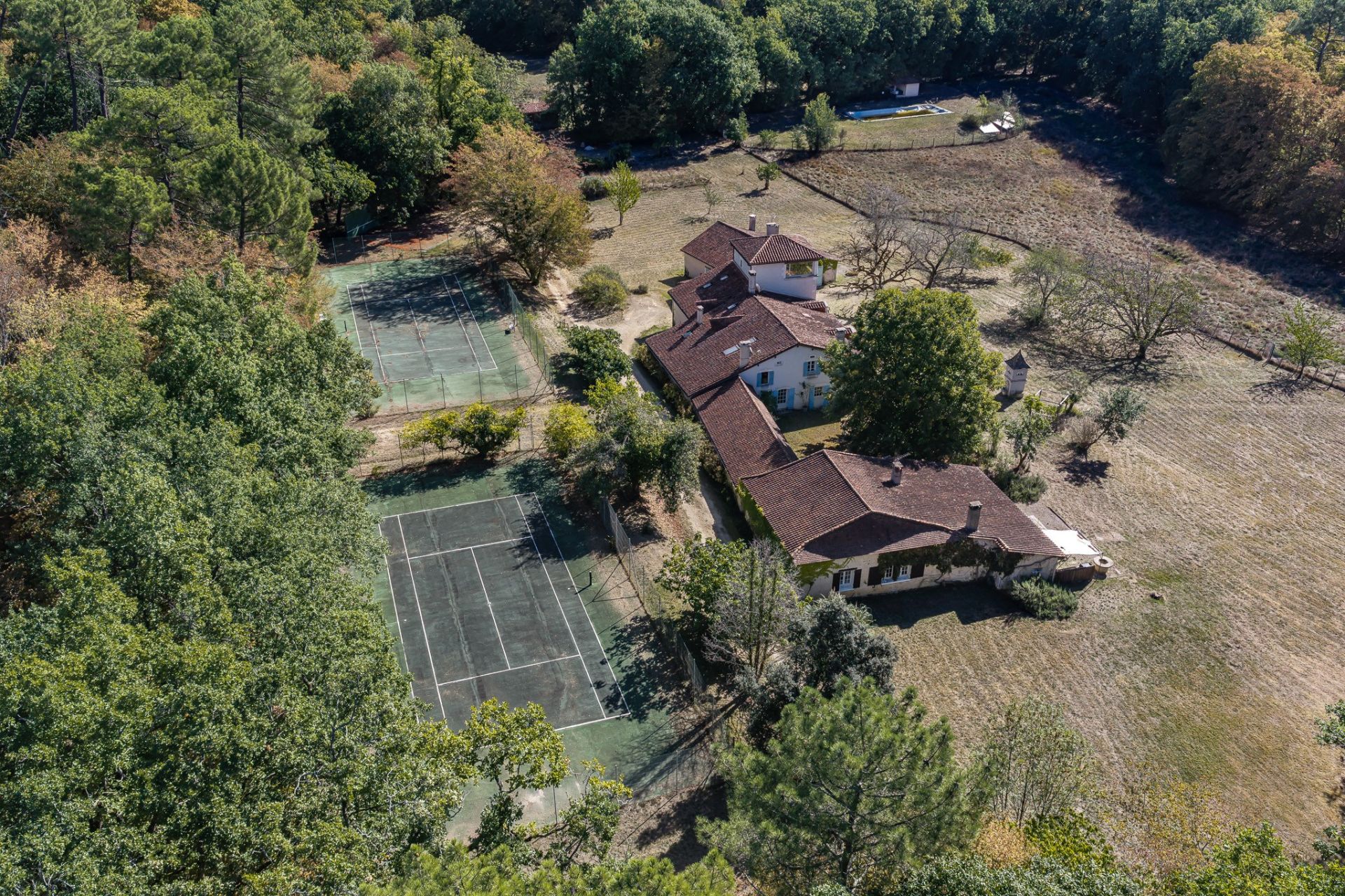 luxury house 23 Rooms for sale on ST ASTIER (24110)
