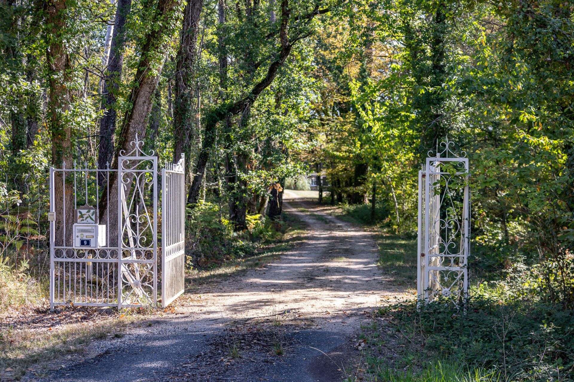 luxury house 23 Rooms for sale on ST ASTIER (24110)