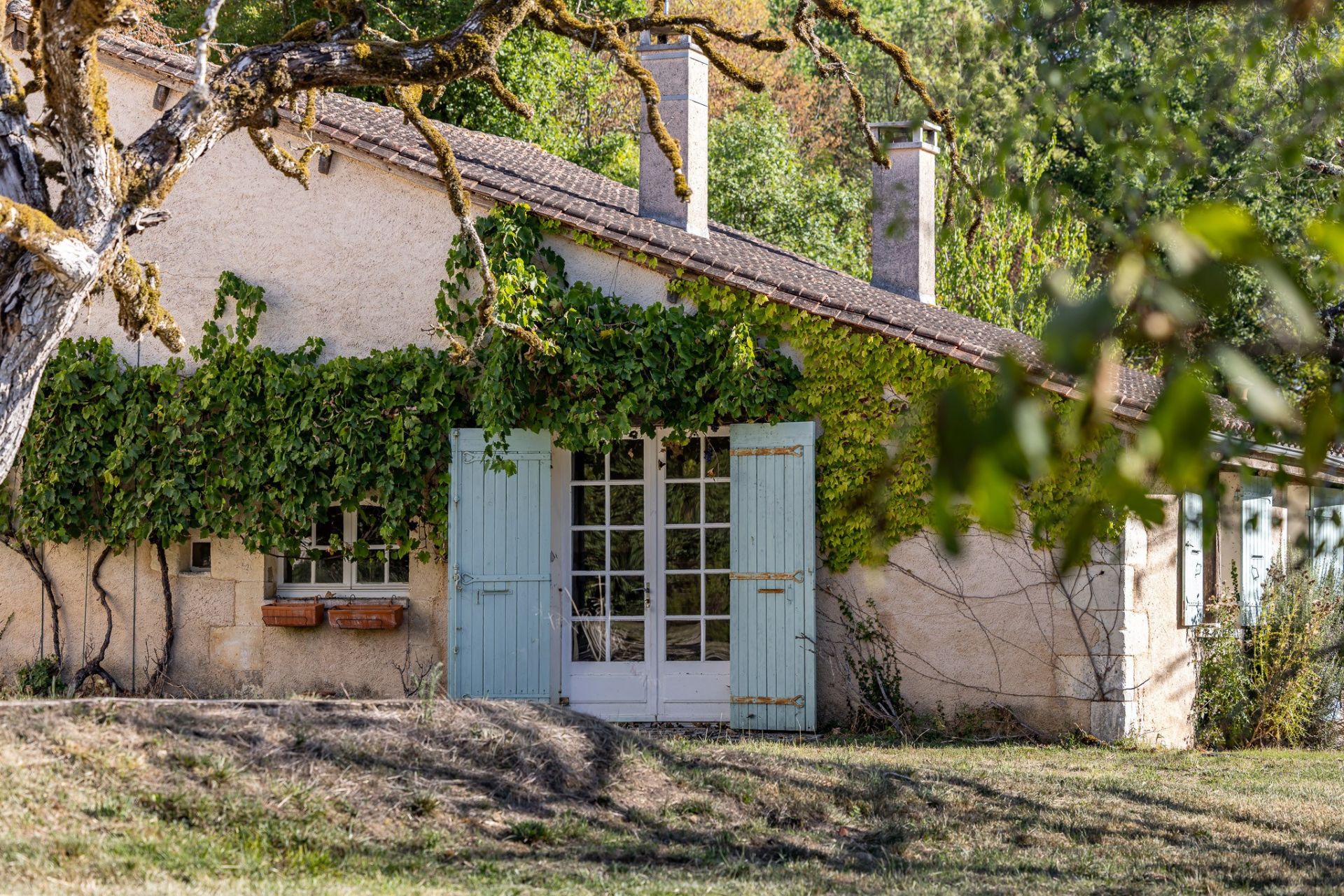 luxury house 23 Rooms for sale on ST ASTIER (24110)