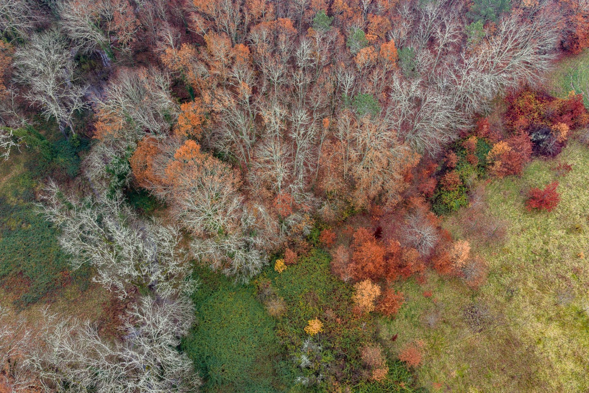 maison de luxe 23 Pièces en vente sur ST ASTIER (24110)