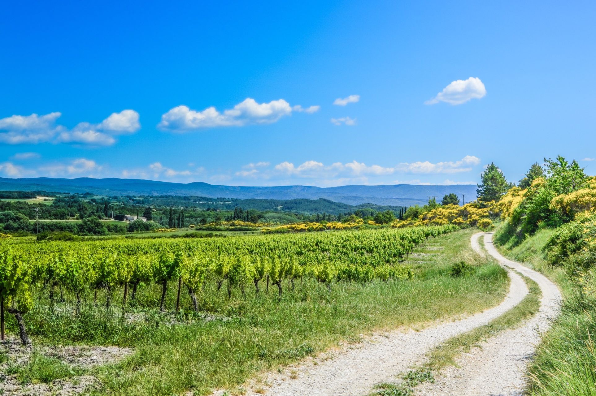 maison de luxe 12 Pièces en vente sur MORMOIRON (84570)