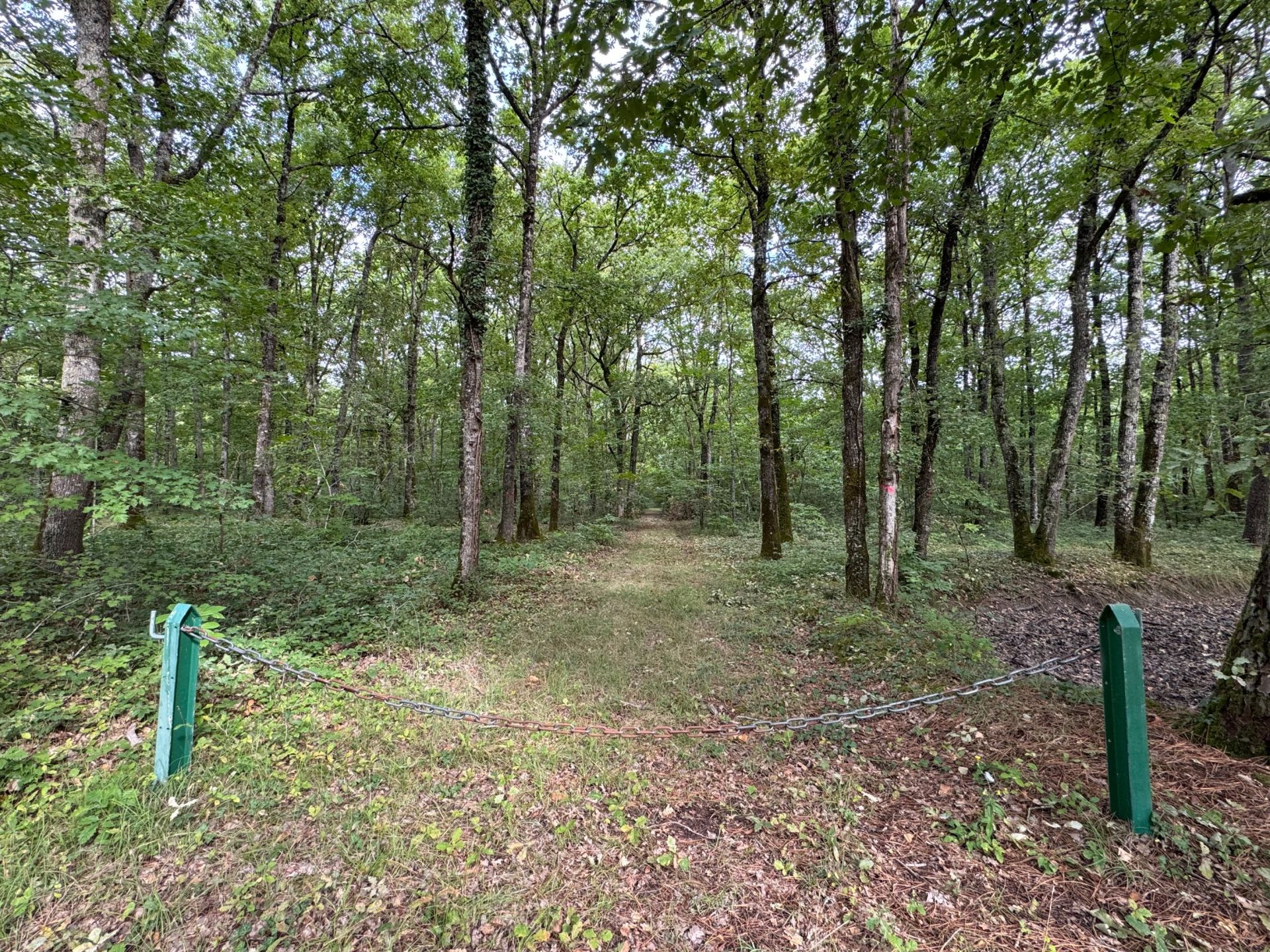 maison de luxe 7 Pièces en vente sur AMBOISE (37400)