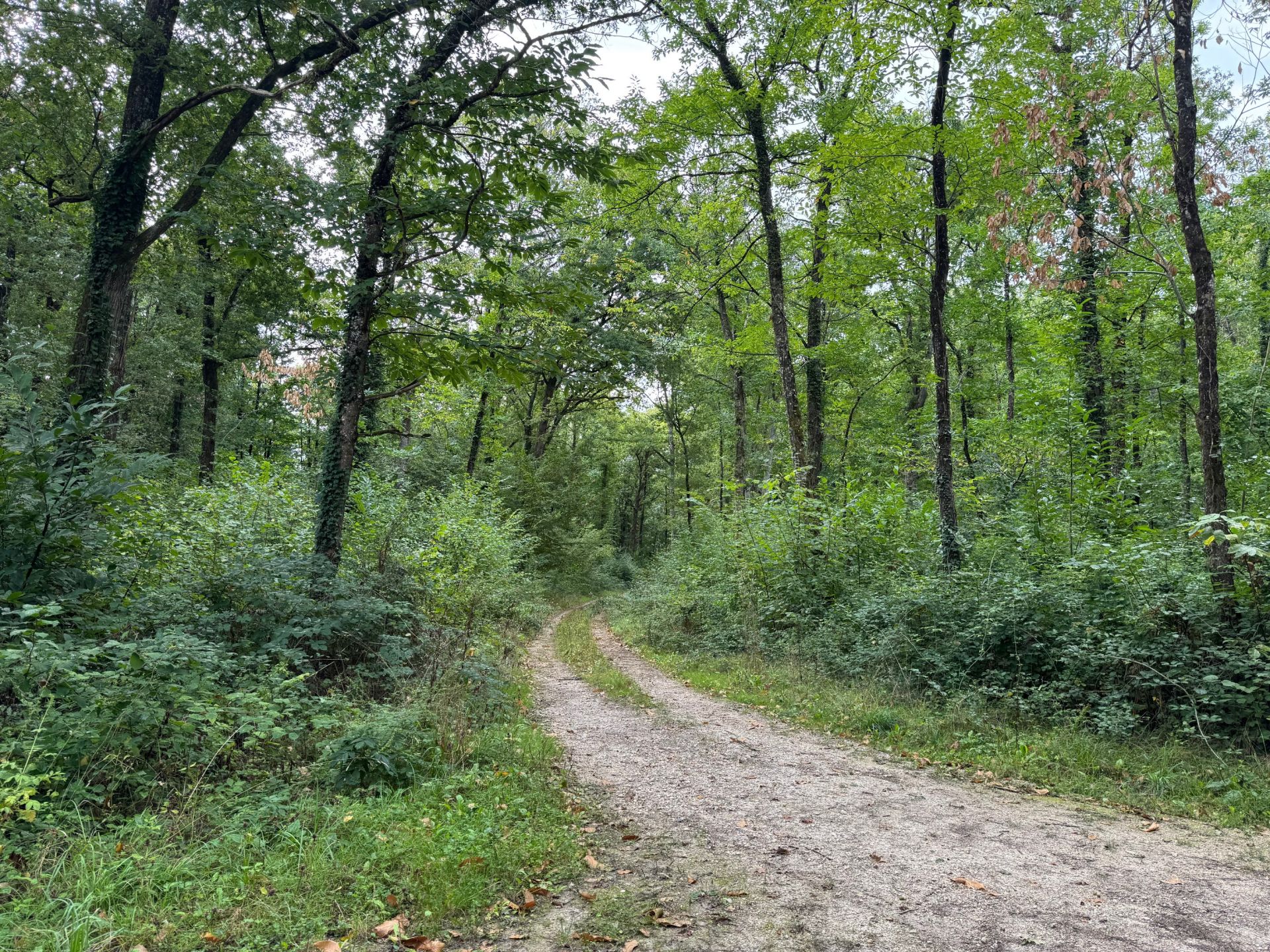 maison de luxe 7 Pièces en vente sur AMBOISE (37400)