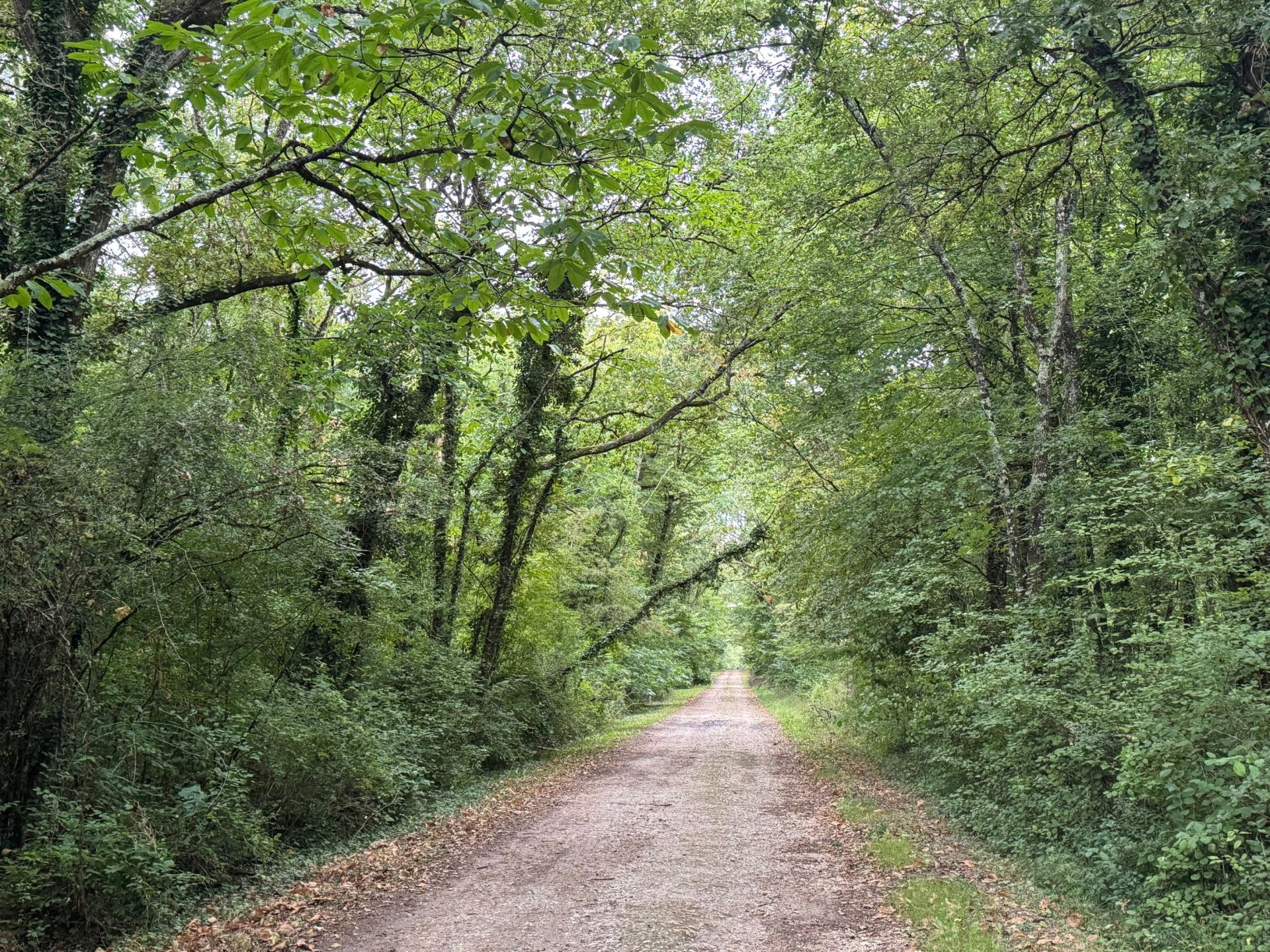 maison de luxe 7 Pièces en vente sur AMBOISE (37400)