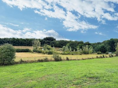 Vente Maison de luxe Amboise 7&nbsp;Pièces 330&nbsp;m²