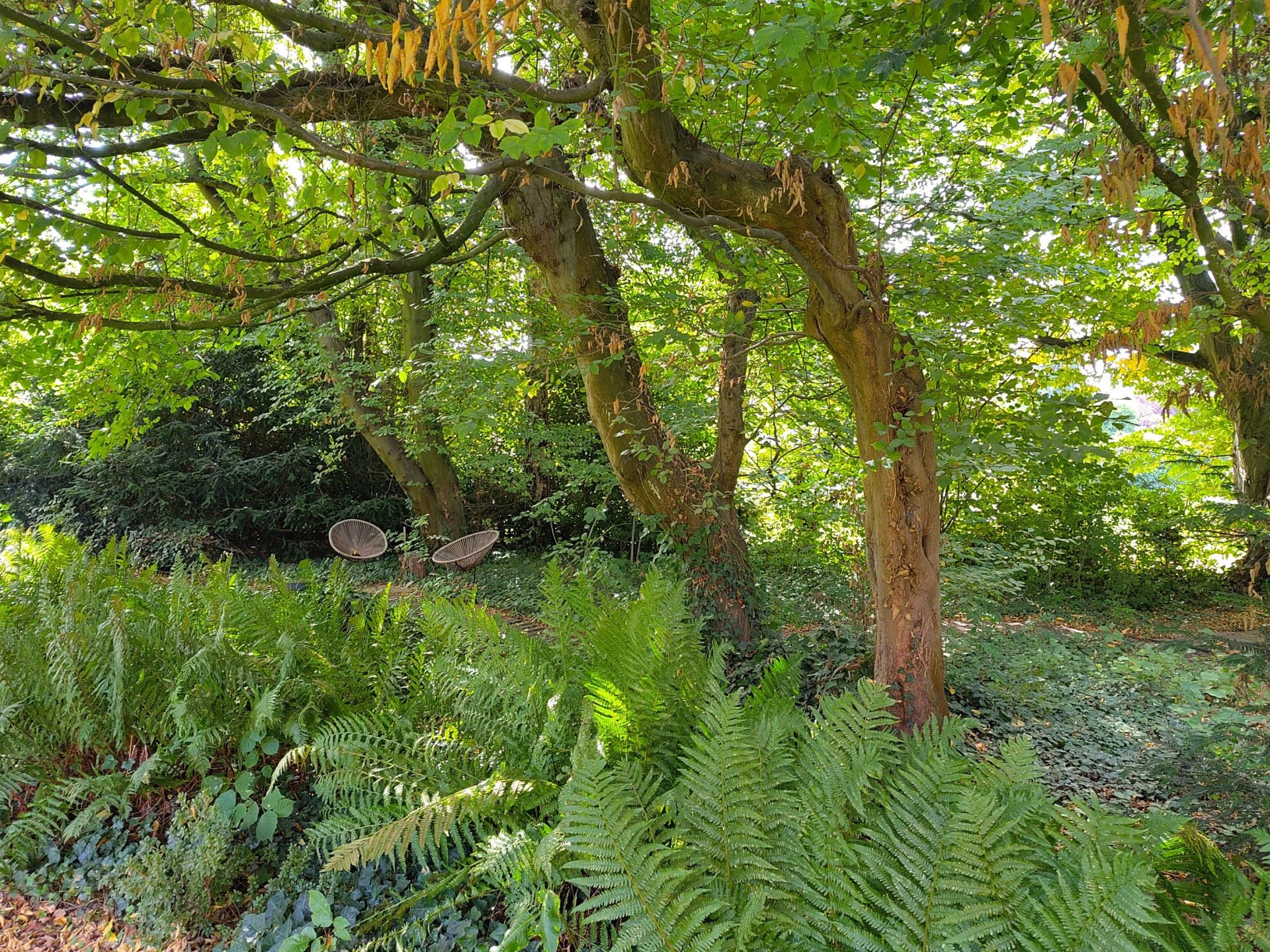 maison de luxe 9 Pièces en vente sur MARCQ EN BAROEUL (59700)