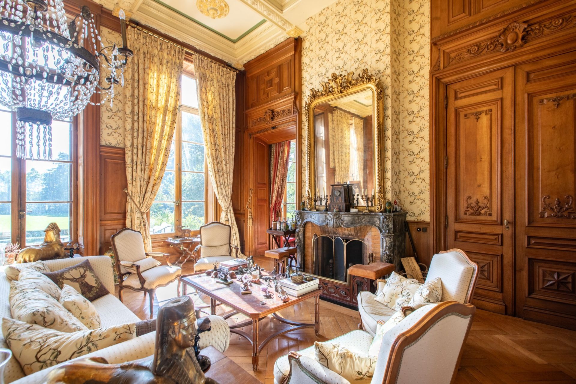 château 22 Pièces en vente sur NEUVILLE LES DAMES (01400)