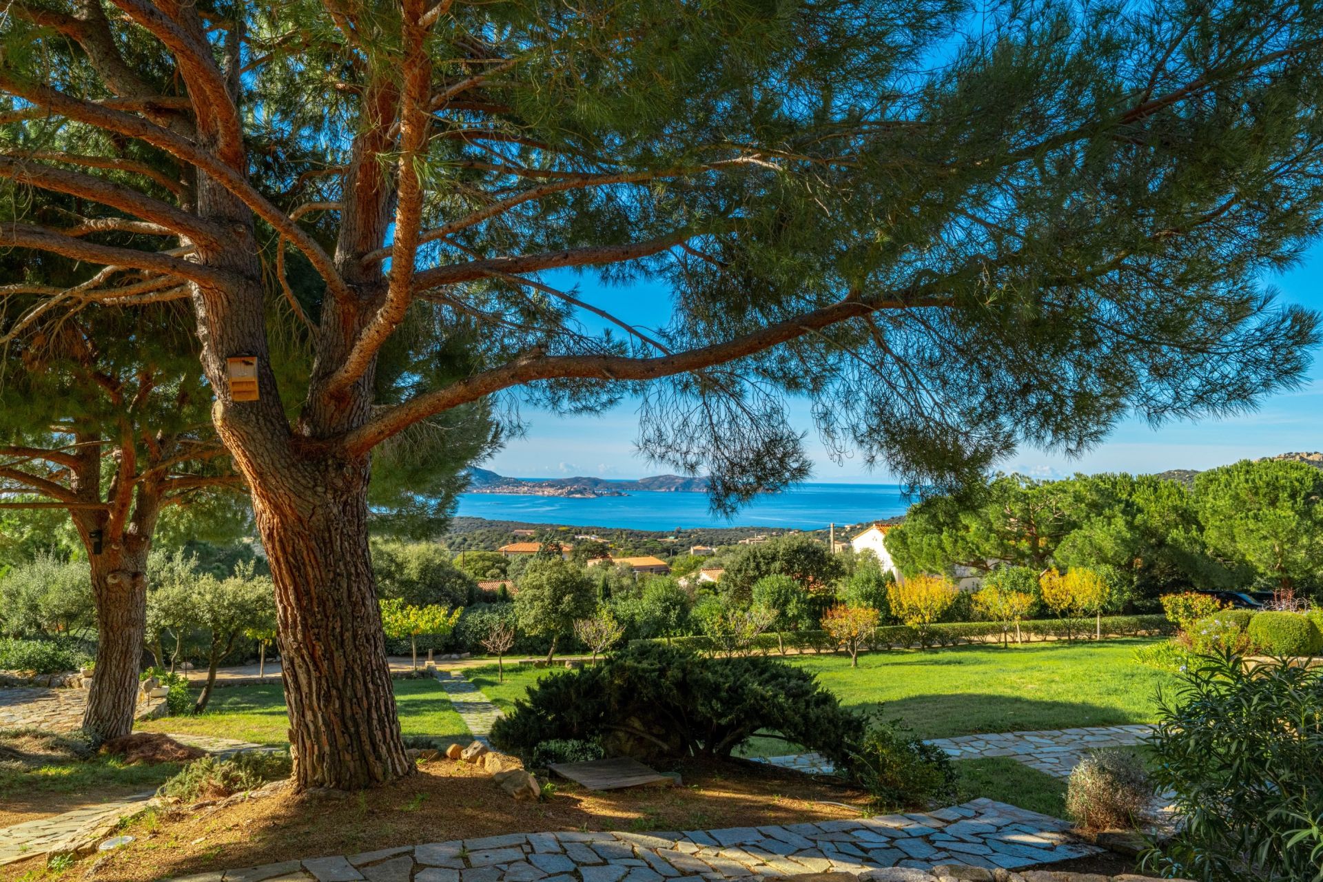 luxury villa 9 Rooms for sale on LUMIO (20260)