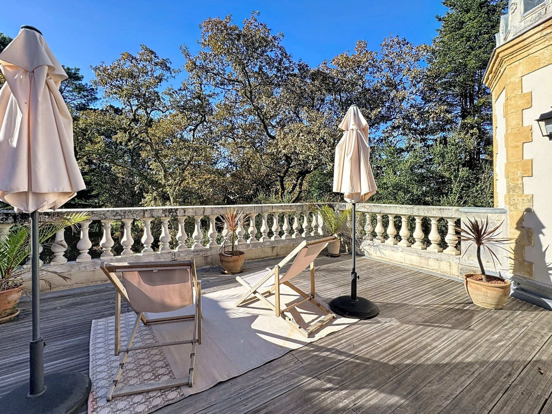 mansion 12 Rooms for sale on MAGESCQ (40140)