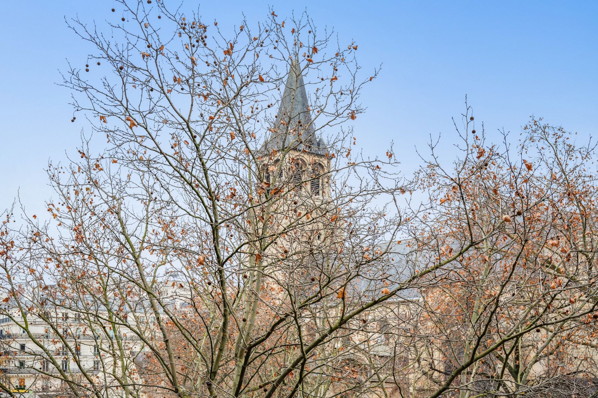 luxury apartment 4 Rooms for sale on PARIS (75006)