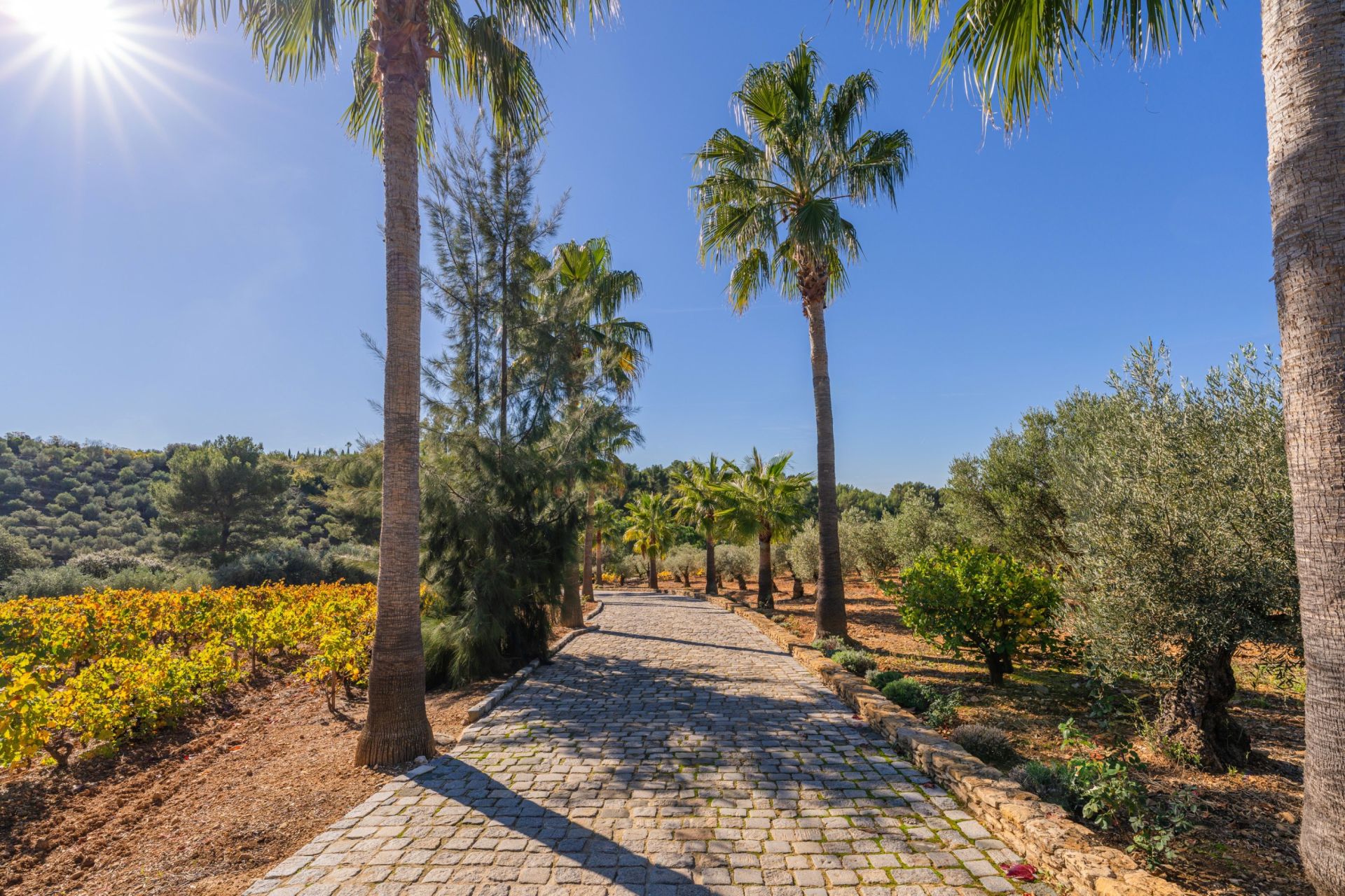 maison de luxe 20 Pièces en vente sur LE CASTELLET (83330)