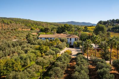 Vente Maison de luxe Le Castellet 20&nbsp;Pièces 900&nbsp;m²
