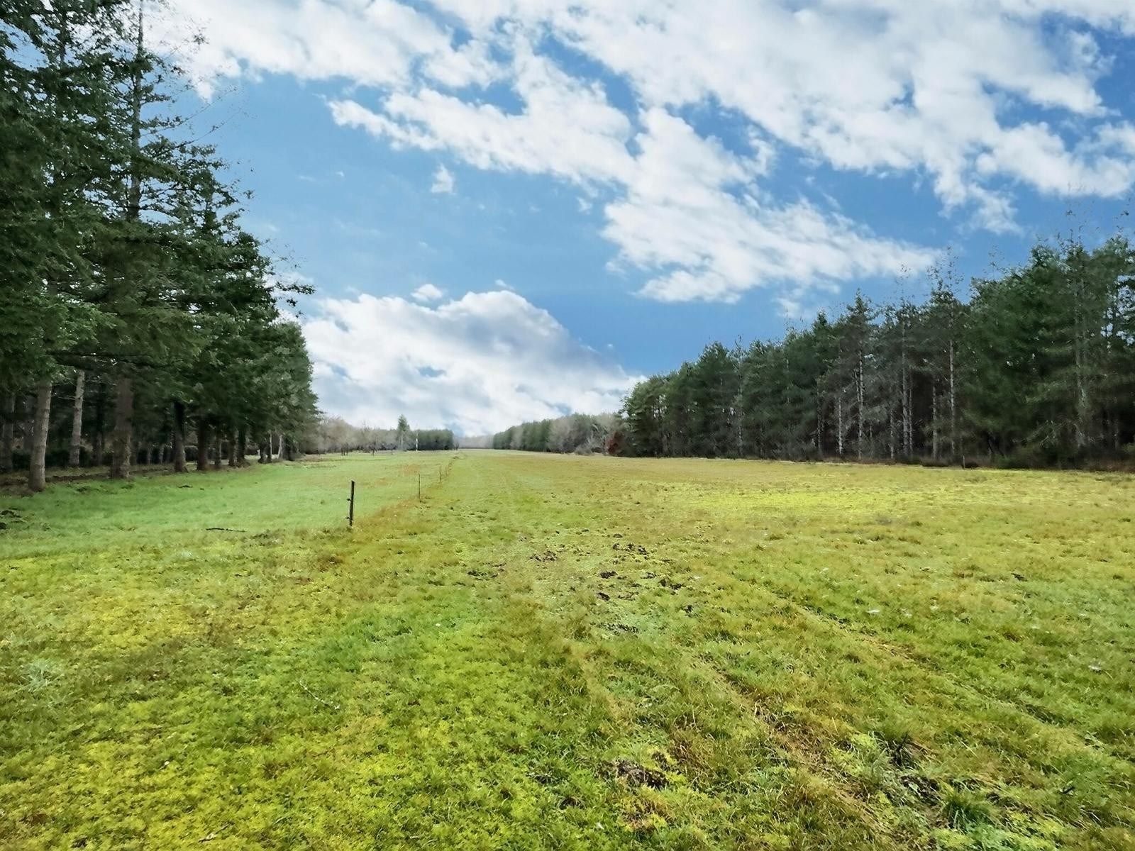 maison de luxe 7 Pièces en vente sur DHUIZON (41220)