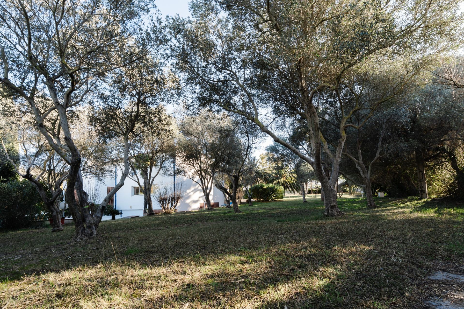 maison de luxe 5 Pièces en vente sur PERPIGNAN (66000)