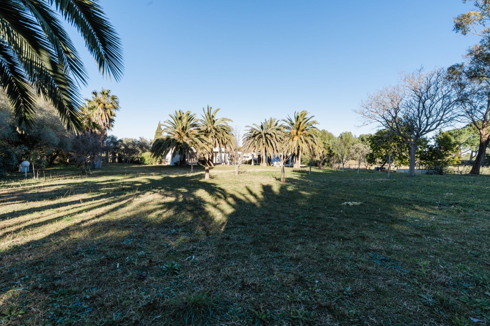 luxury house 5 Rooms for sale on PERPIGNAN (66000)