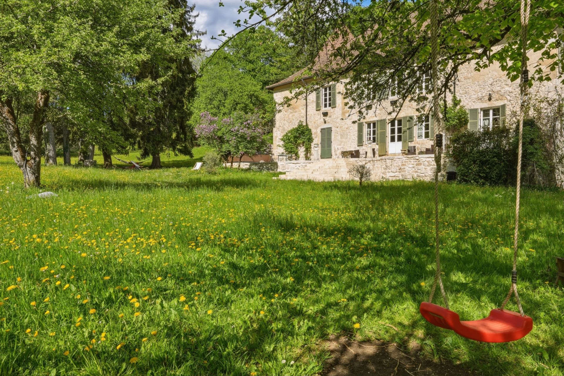 château 12 Pièces en vente sur MONTANGES (01200)