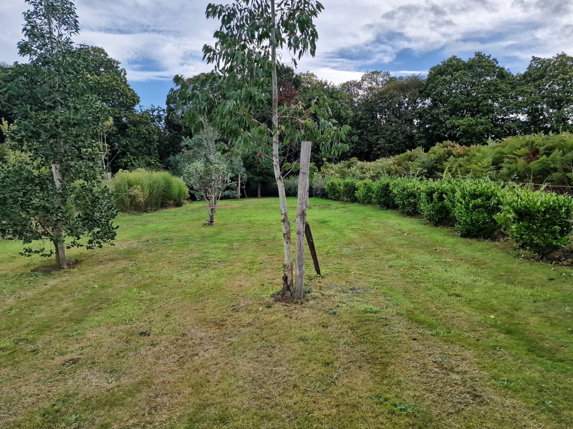 maison de luxe 14 Pièces en vente sur PENVENAN (22710)