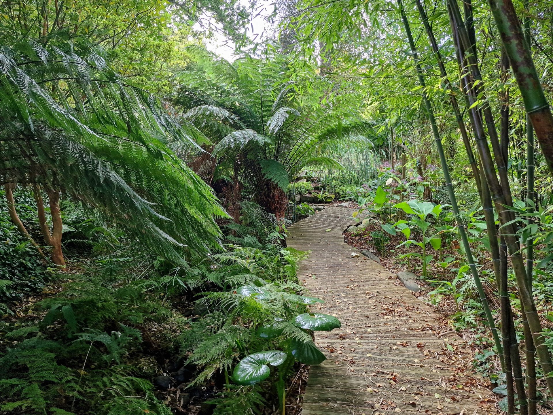 maison de luxe 14 Pièces en vente sur PENVENAN (22710)