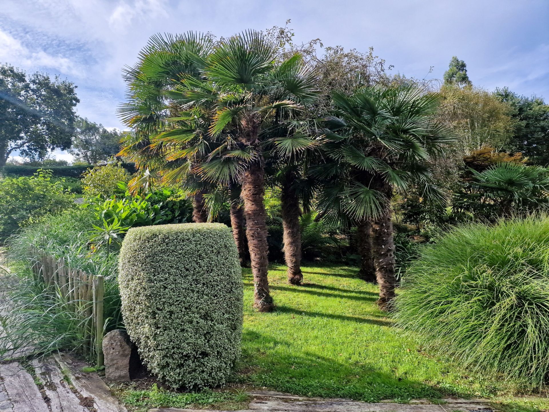 maison de luxe 14 Pièces en vente sur PENVENAN (22710)