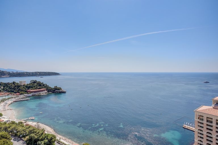 luxury apartment 4 Rooms for rent on MONACO (98000)