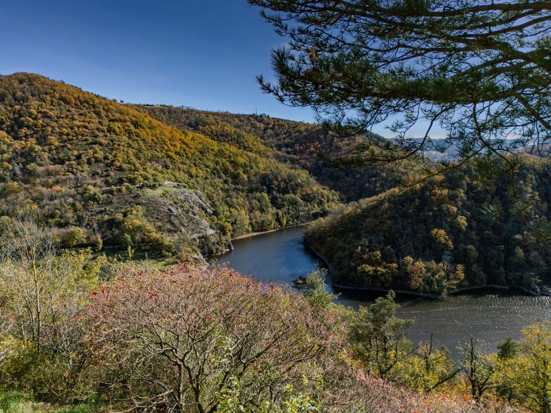 architect's house 8 Rooms for sale on CALOIRE (42240)