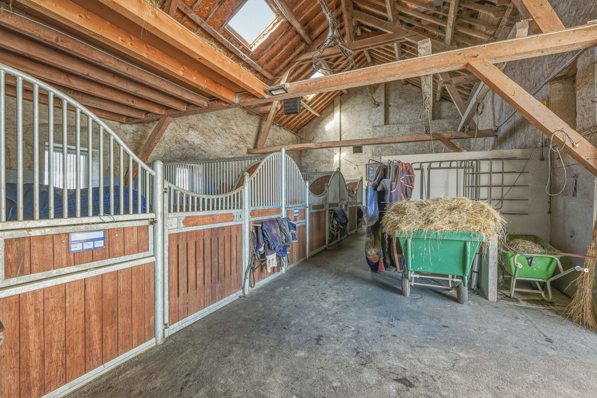 equestrian property 11 Rooms for sale on ST GENIS POUILLY (01630)