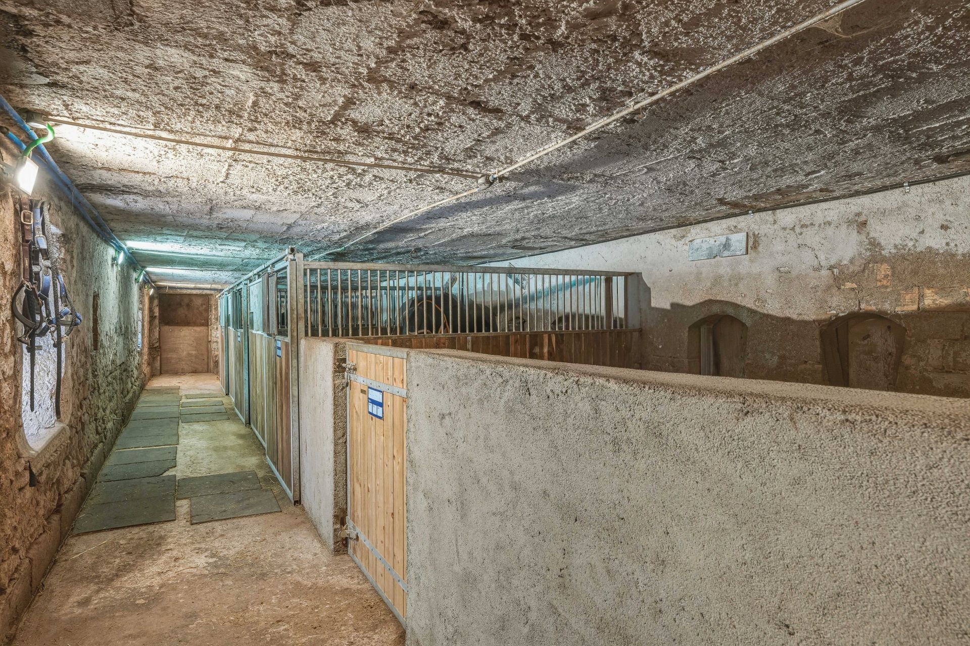 maison de luxe 11 Pièces en vente sur ST GENIS POUILLY (01630)