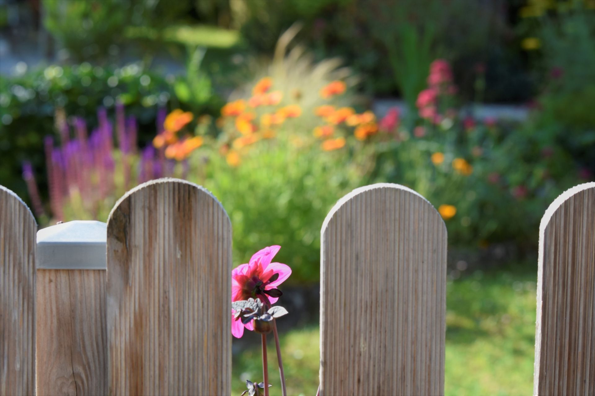 maison de luxe 19 Pièces en vente sur PERIGUEUX (24000)