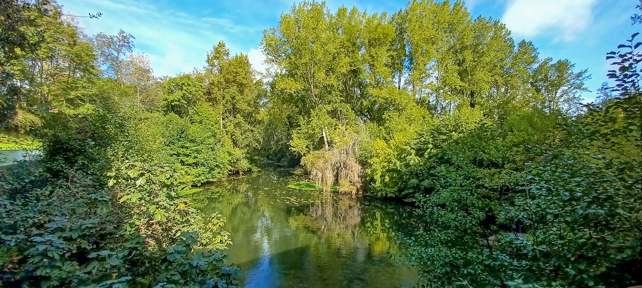 maison de luxe 17 Pièces en vente sur MUSSIDAN (24400)