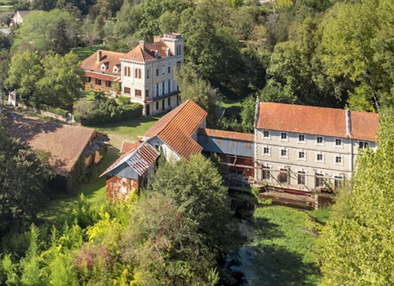 maison de luxe 17 Pièces en vente sur MUSSIDAN (24400)