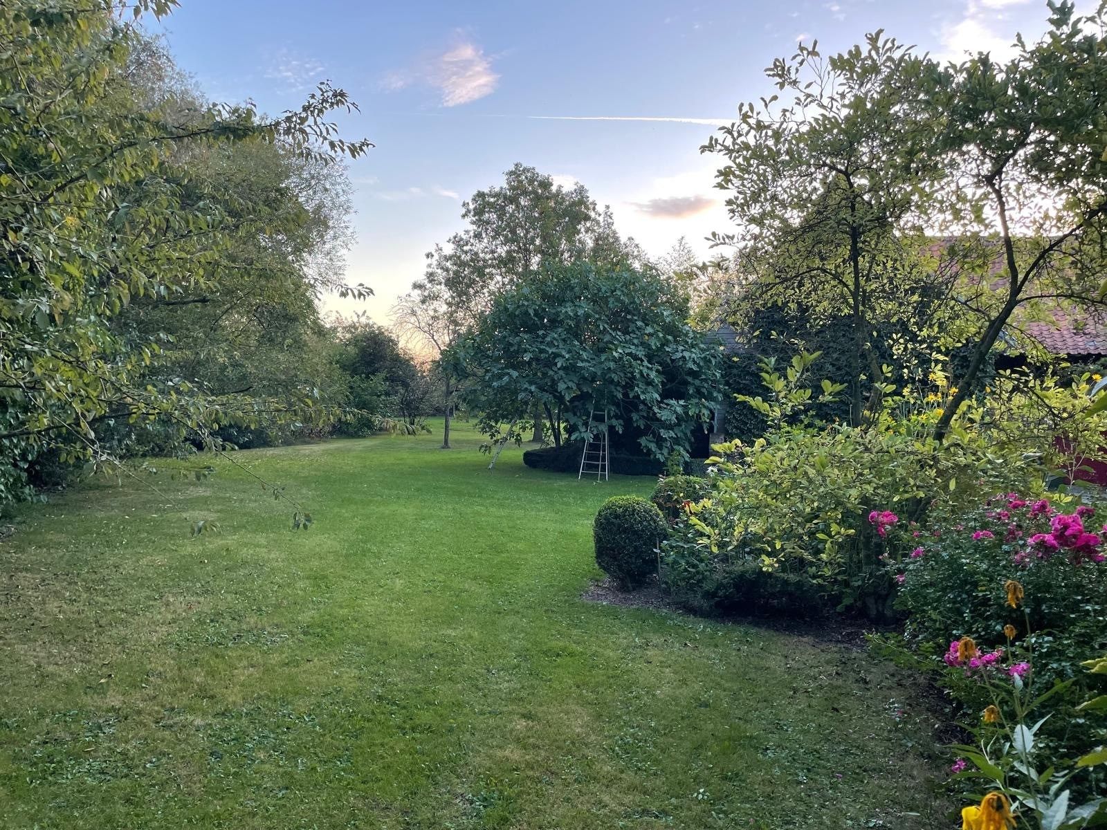 maison de luxe 11 Pièces en vente sur BETHUNE (62400)