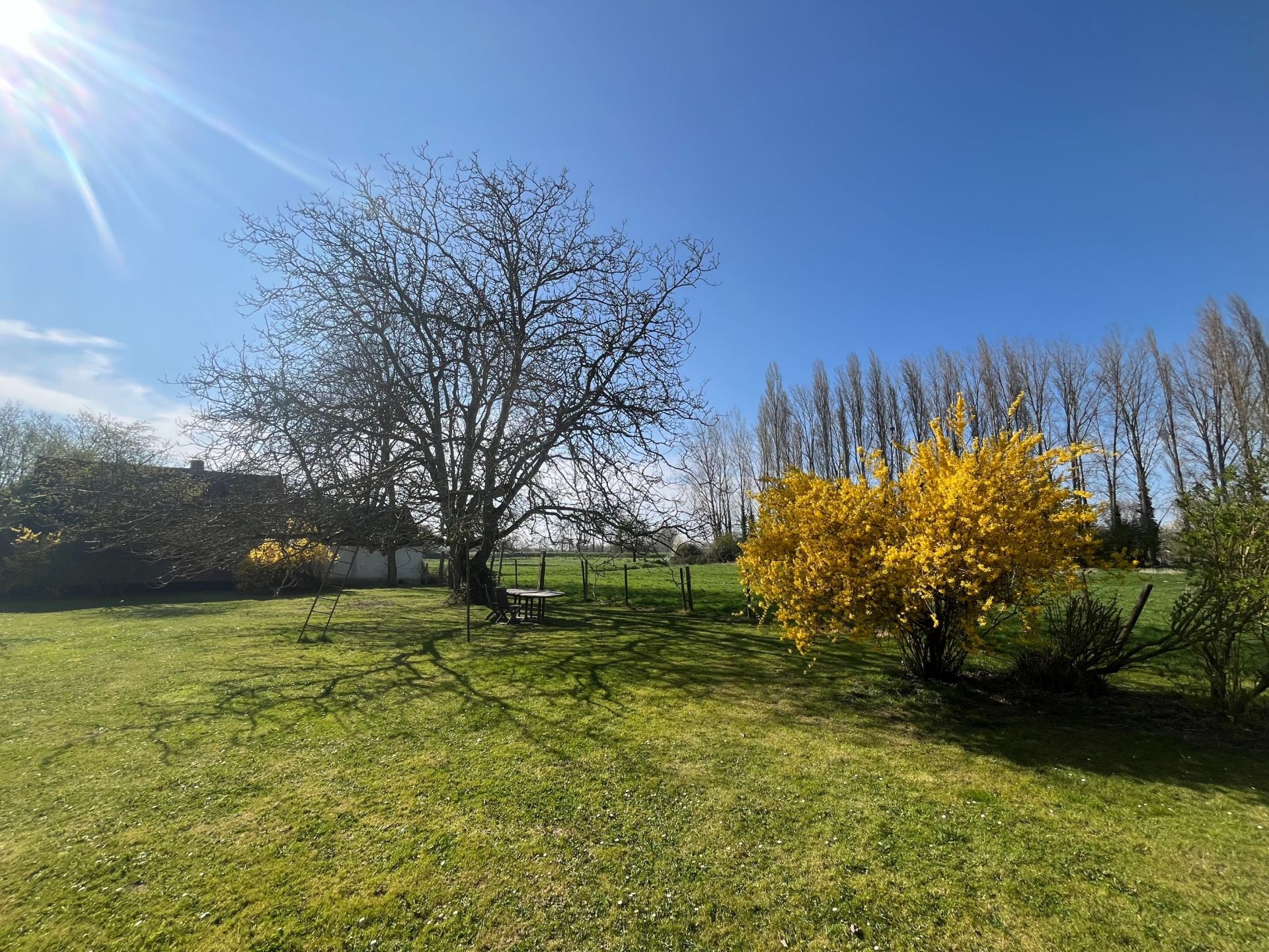 maison de luxe 11 Pièces en vente sur BETHUNE (62400)