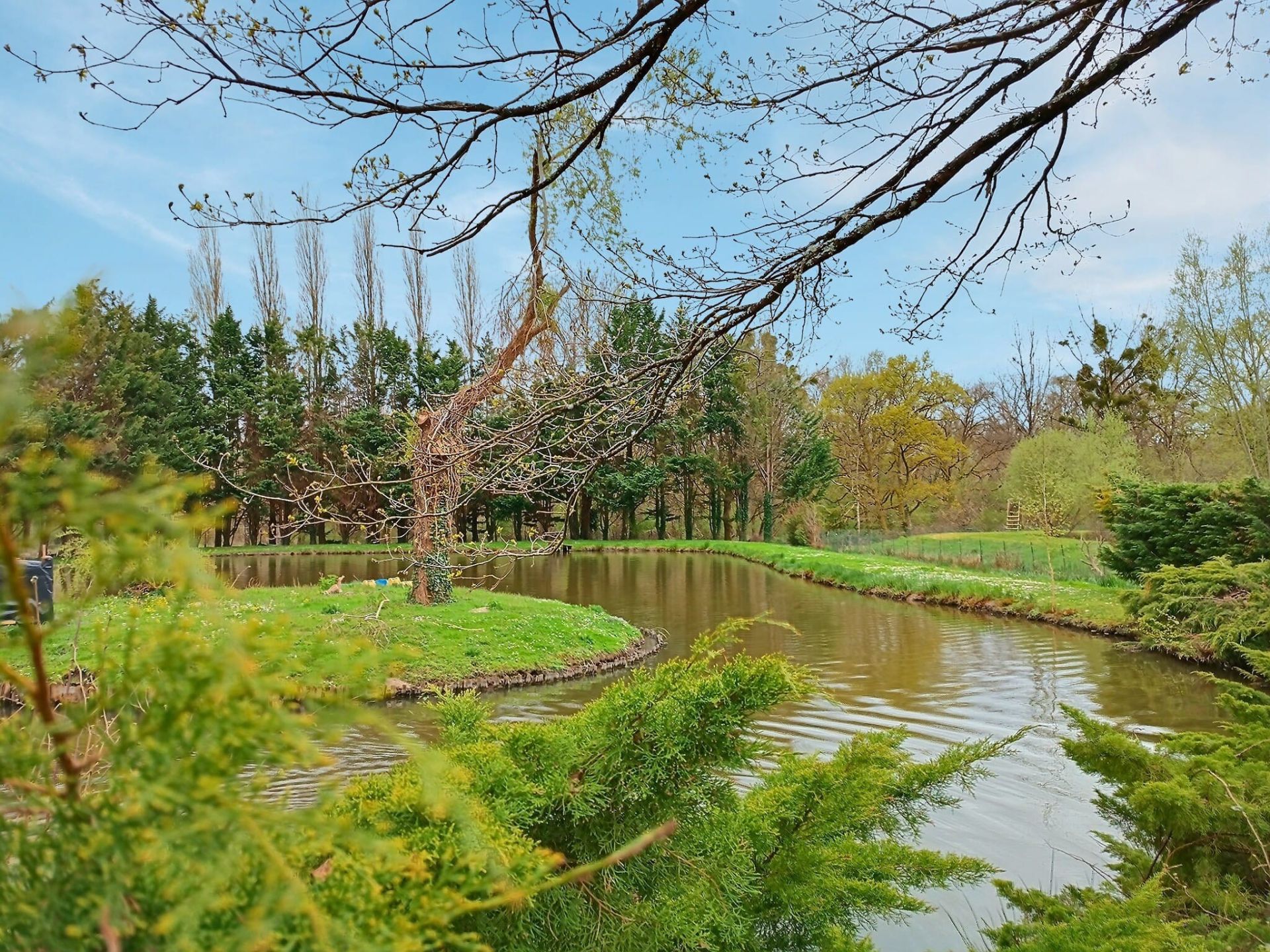 maison de luxe 10 Pièces en vente sur LA FERTE ST CYR (41220)