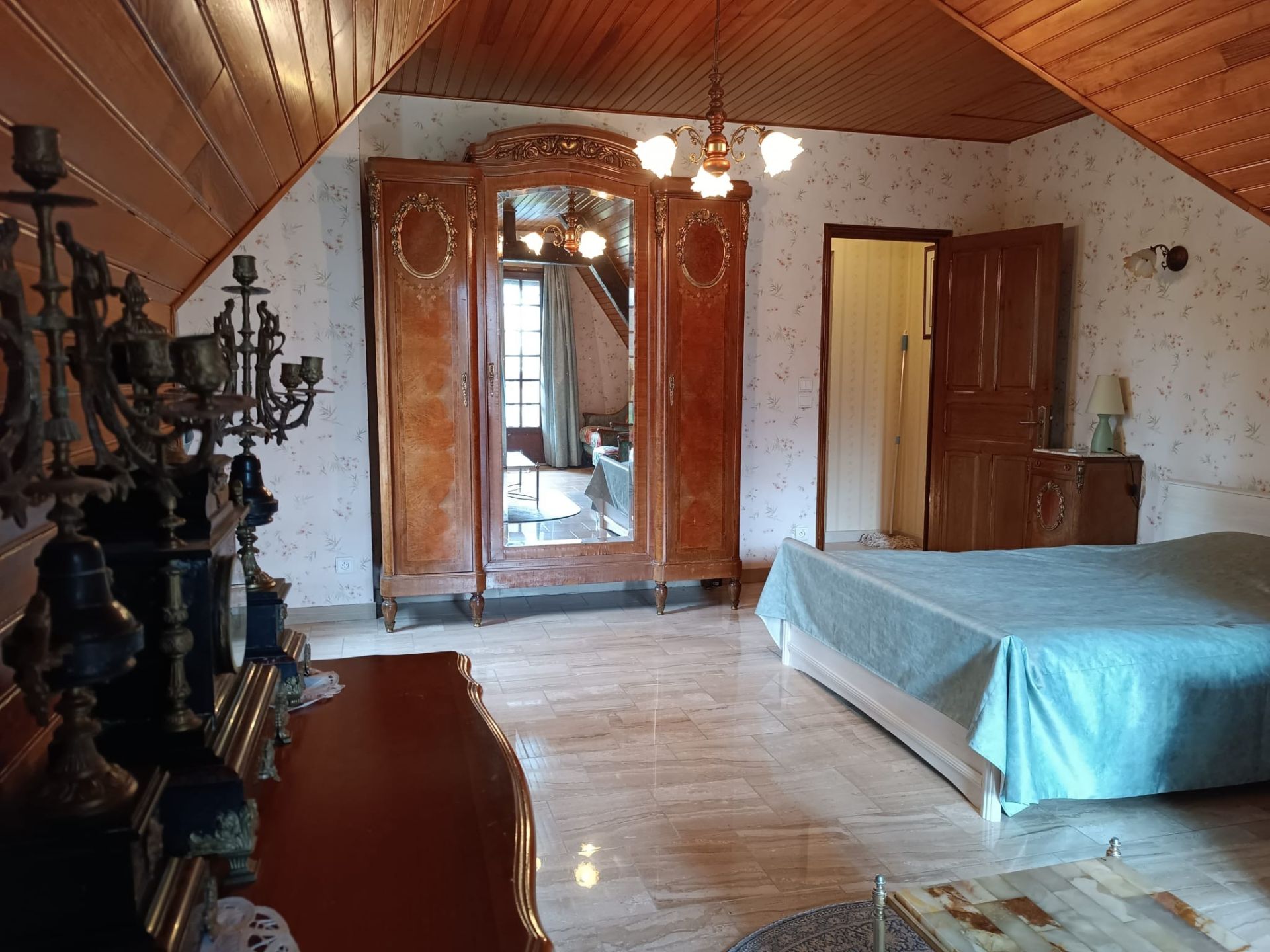 maison de luxe 10 Pièces en vente sur LA FERTE ST CYR (41220)