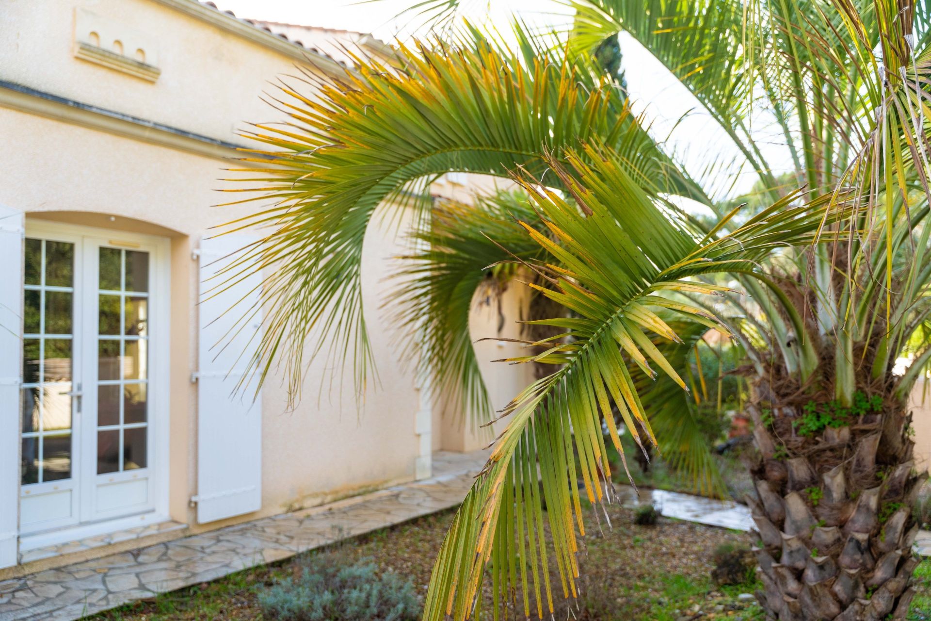 maison de luxe 5 Pièces en vente sur ST TROJAN LES BAINS (17370)