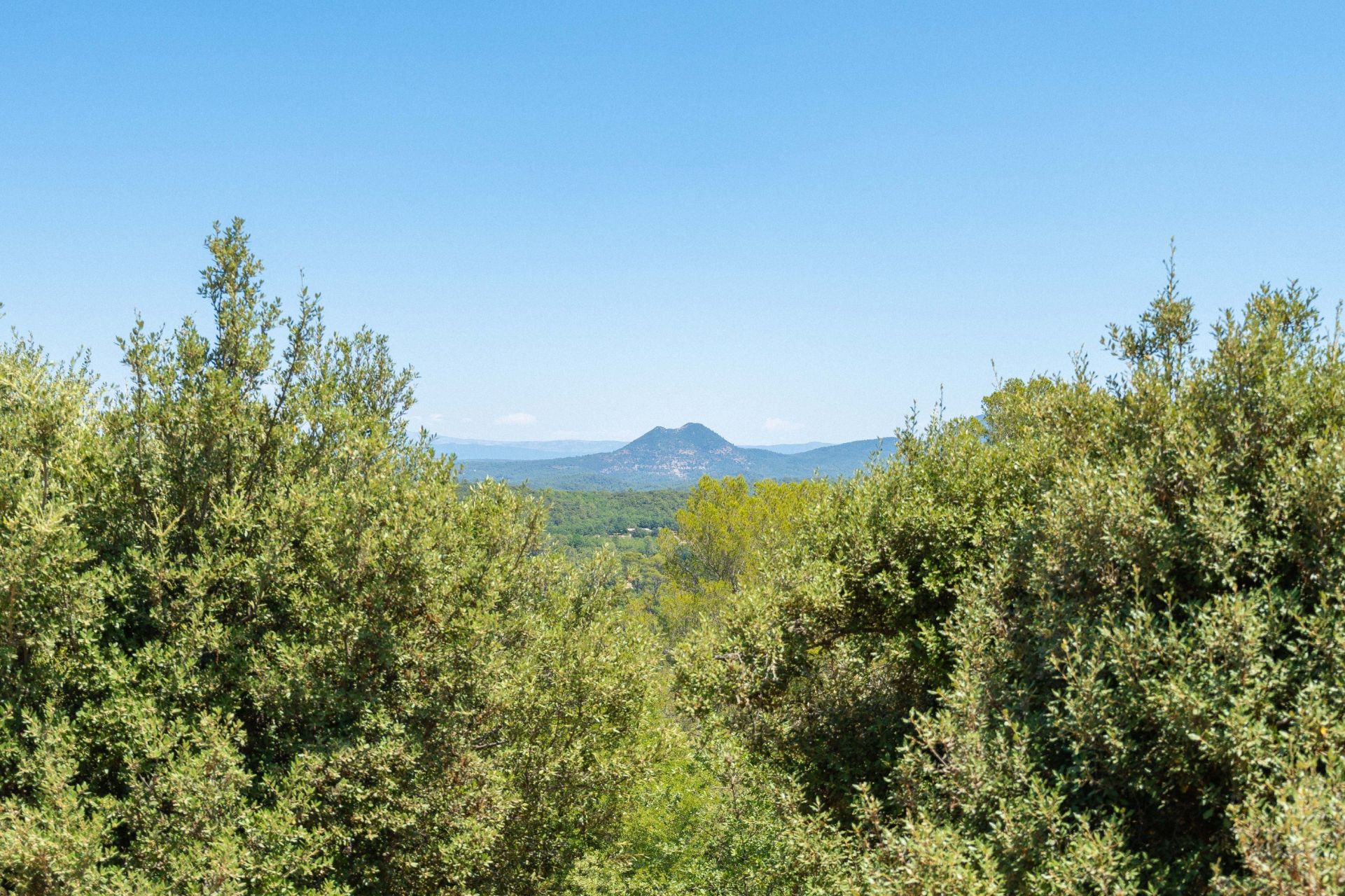 propriété de luxe 10 Pièces en vente sur BRAS (83149)