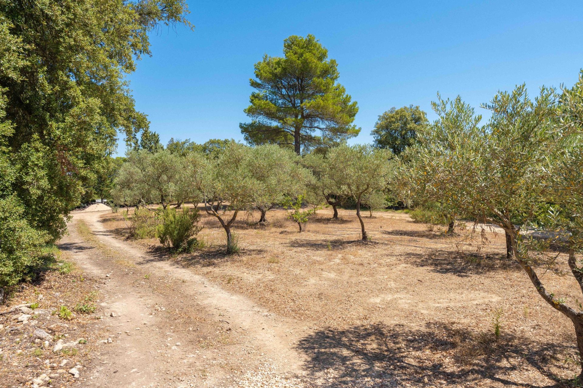 propriété de luxe 10 Pièces en vente sur BRAS (83149)