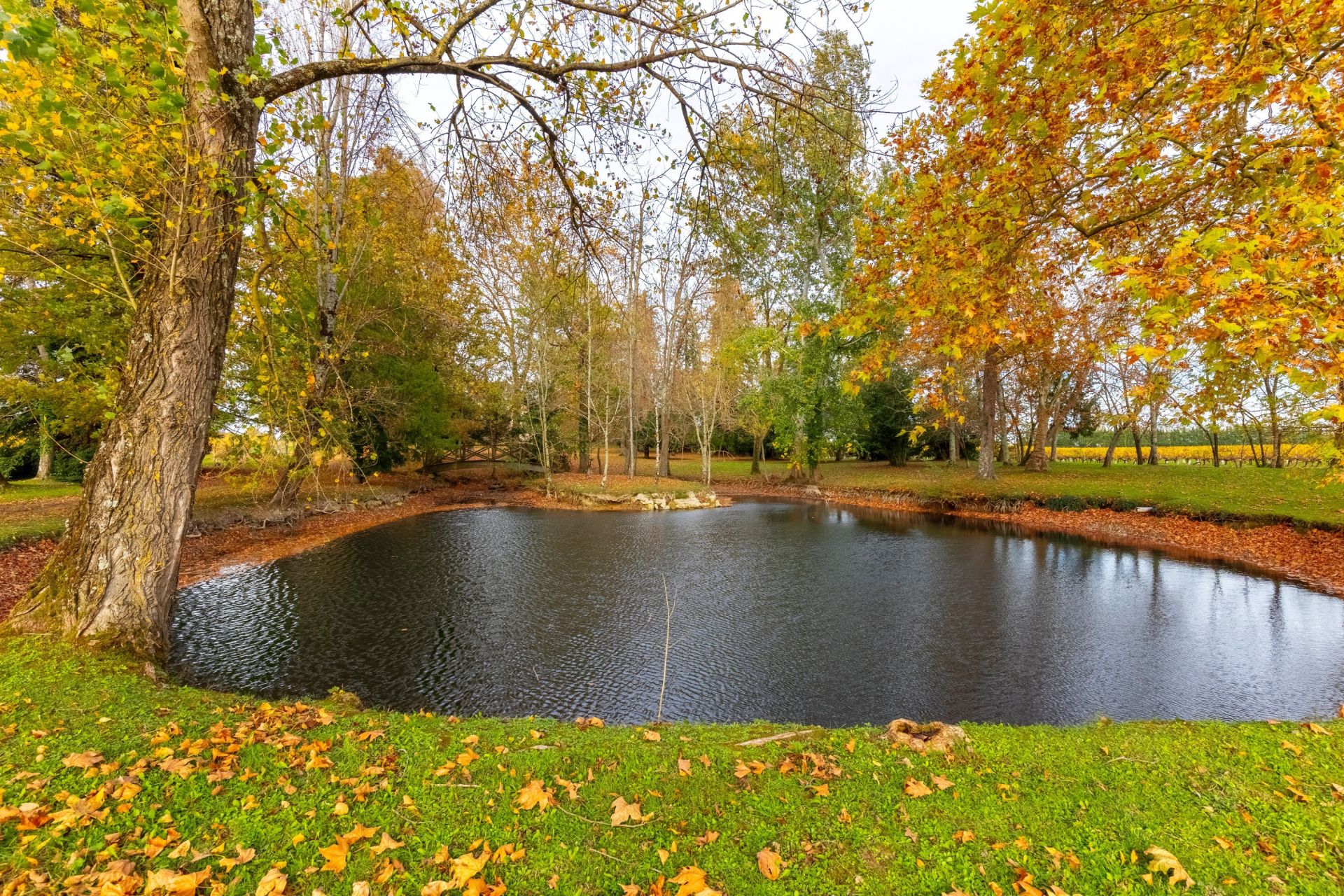 château 12 Pièces en vente sur BORDEAUX (33000)