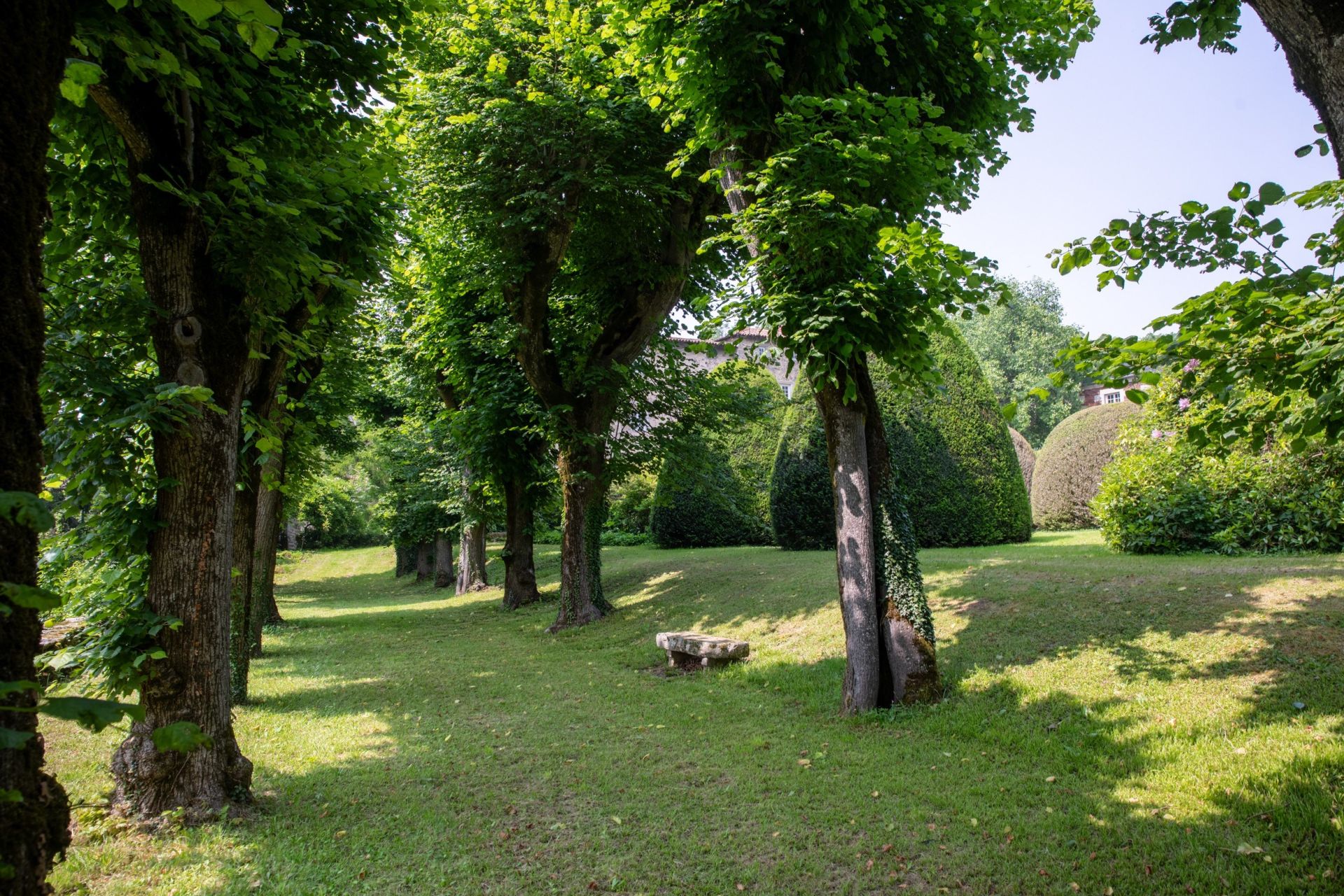 castle 20 Rooms for sale on ST HEAND (42570)