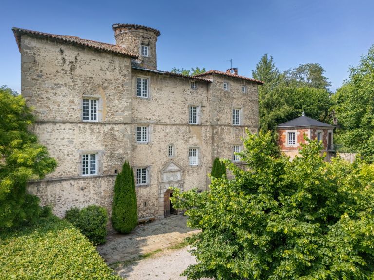 castle 20 Rooms for sale on ST HEAND (42570)